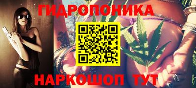 гидра Чапаевск